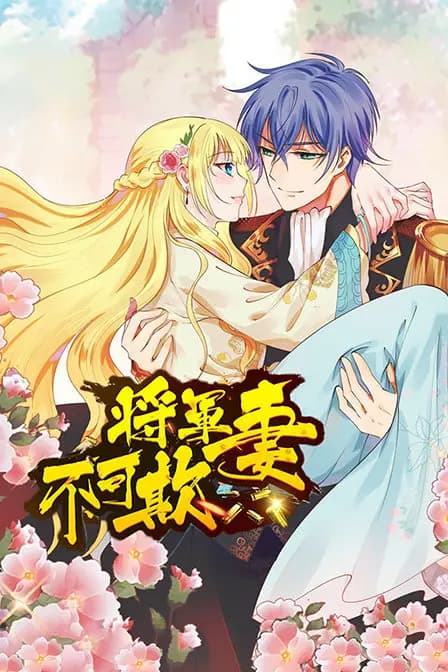将军妻不可欺海报