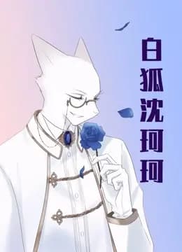 白狐沈珂珂海报