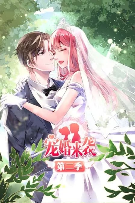 宠婚来袭 第二季海报