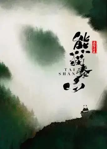 我从中国来之熊猫泰山海报