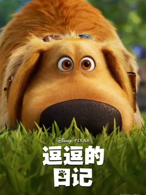 逗逗的日记海报