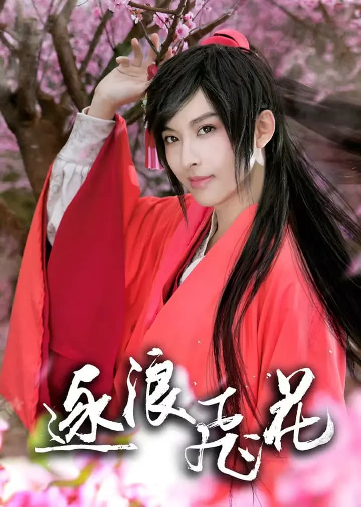 逐浪飞花之武林外史海报