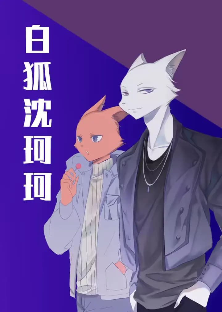 白狐沈珂珂海报