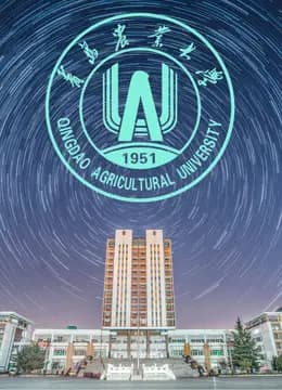 青岛农业大学作品集海报
