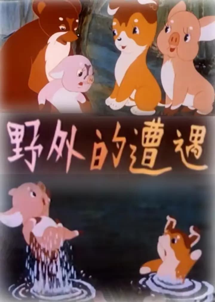 野外的遭遇海报
