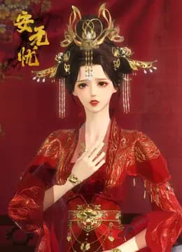 安无忧海报
