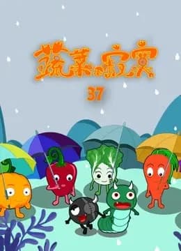 蔬菜不寂寞第37季海报