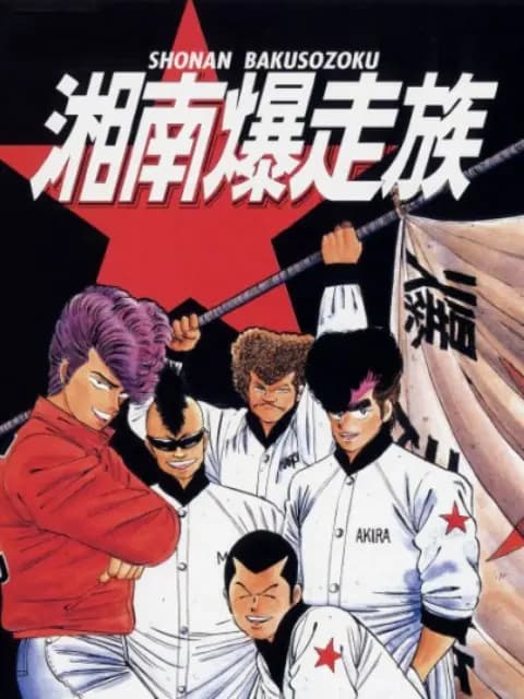湘南暴走族海报