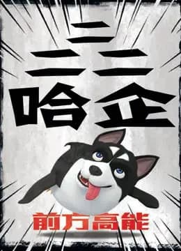 二二二哈企海报