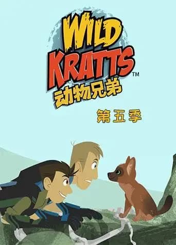 动物兄弟 第五季海报