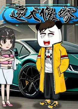 逆天傻婿海报