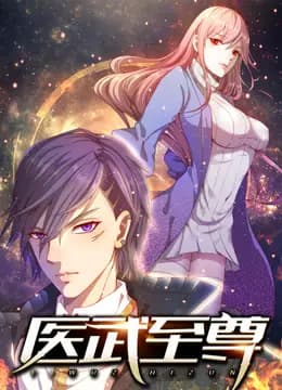 医武至尊动态漫画海报