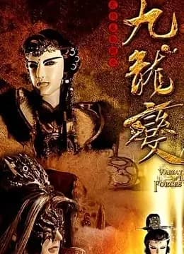 天地风云录之九龙变海报