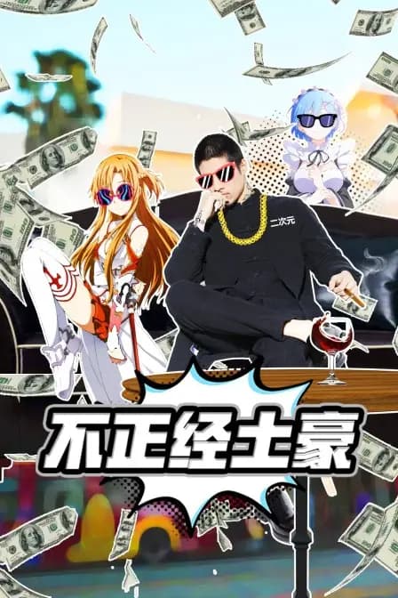 不正经土豪海报