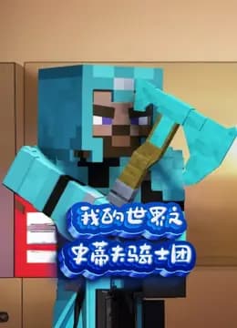 我的世界之史蒂夫骑士团海报