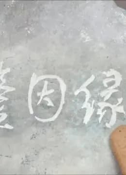 鉴因缘海报