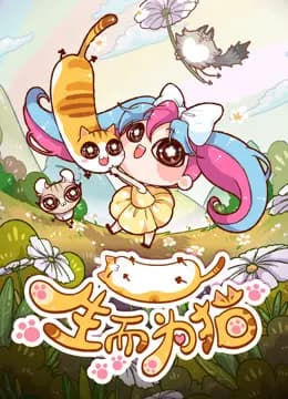 生而为猫海报