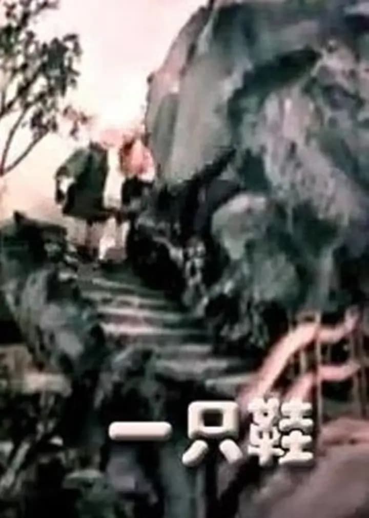 一只鞋海报