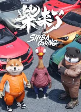 柴来了海报