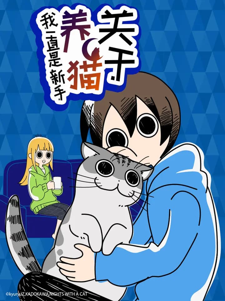 关于养猫我一直是新手海报