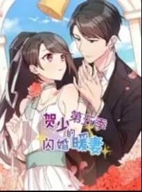 贺少的闪婚暖妻 动态漫第五季海报