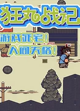狂丸战记海报