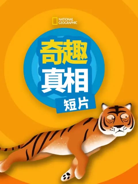 奇趣真相短片第一季海报