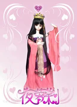 精灵梦叶罗丽全集海报