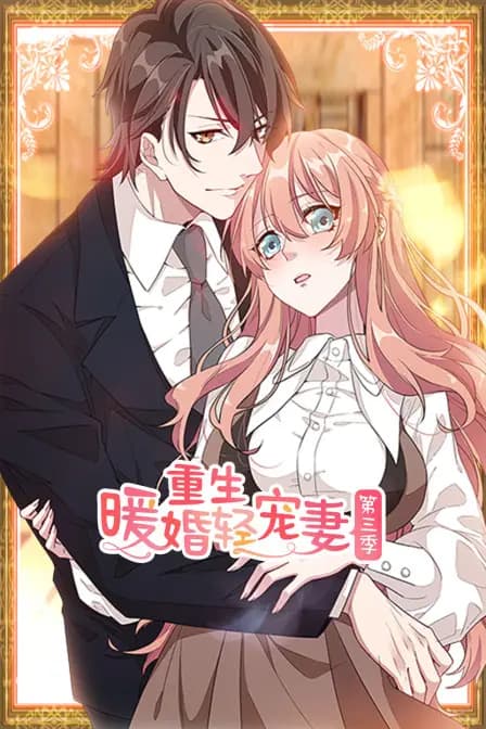 重生暖婚轻宠妻 第三季海报
