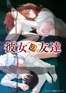 女友的朋友海报
