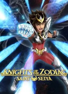 圣斗士星矢：黄道十二宫战士海报