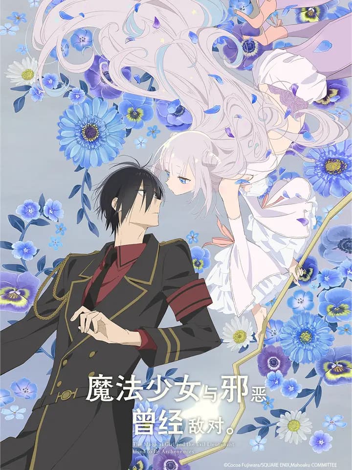 魔法少女与邪恶曾经敌对。海报
