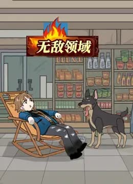 无敌领域海报