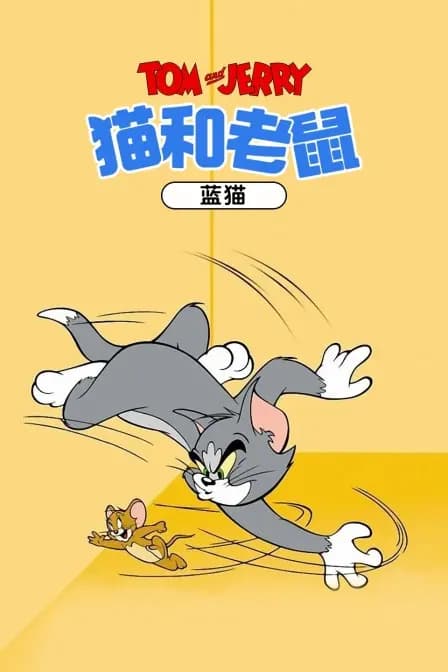 猫和老鼠 蓝猫海报