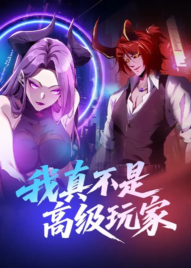 我真不是高级玩家海报
