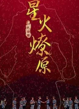 星火燎原海报