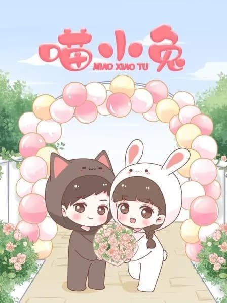 喵小兔海报