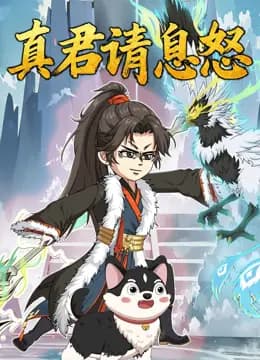 真君请息怒海报