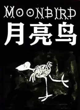 月亮鸟海报