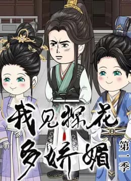 我见探花多娇媚海报