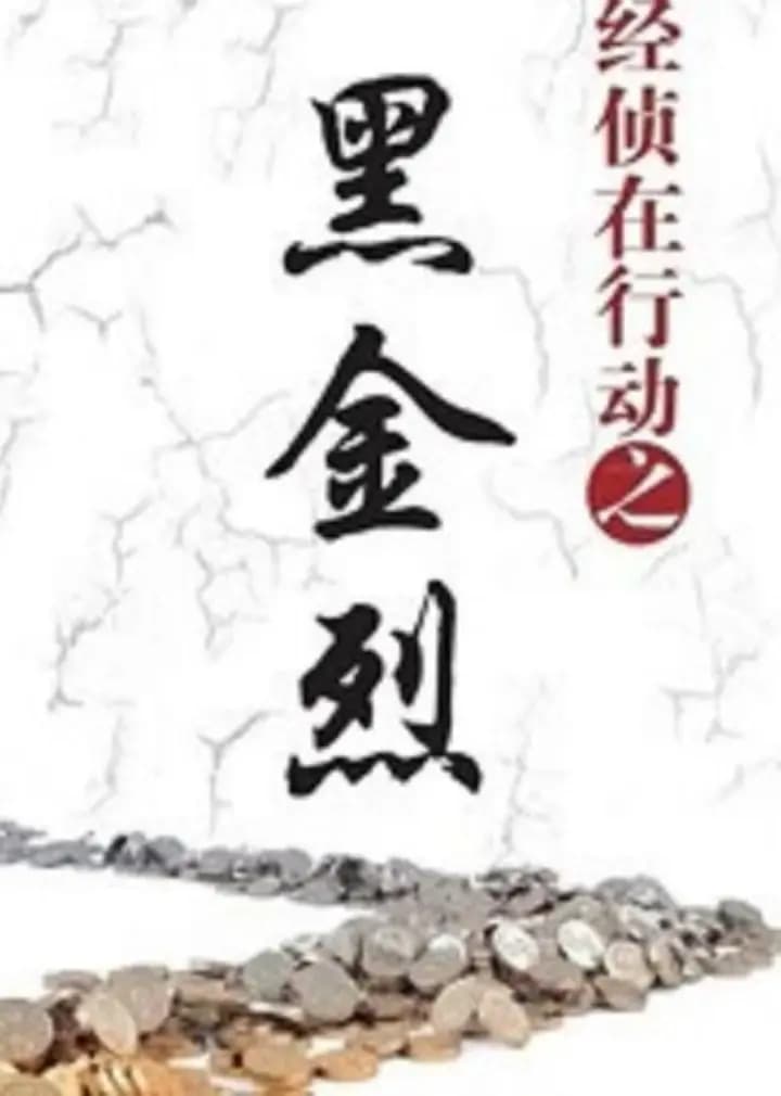经侦在行动之黑金烈海报