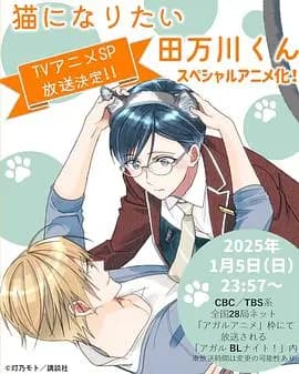 想变成猫的田万川君海报