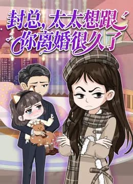 封总，太太想跟你离婚很久了海报