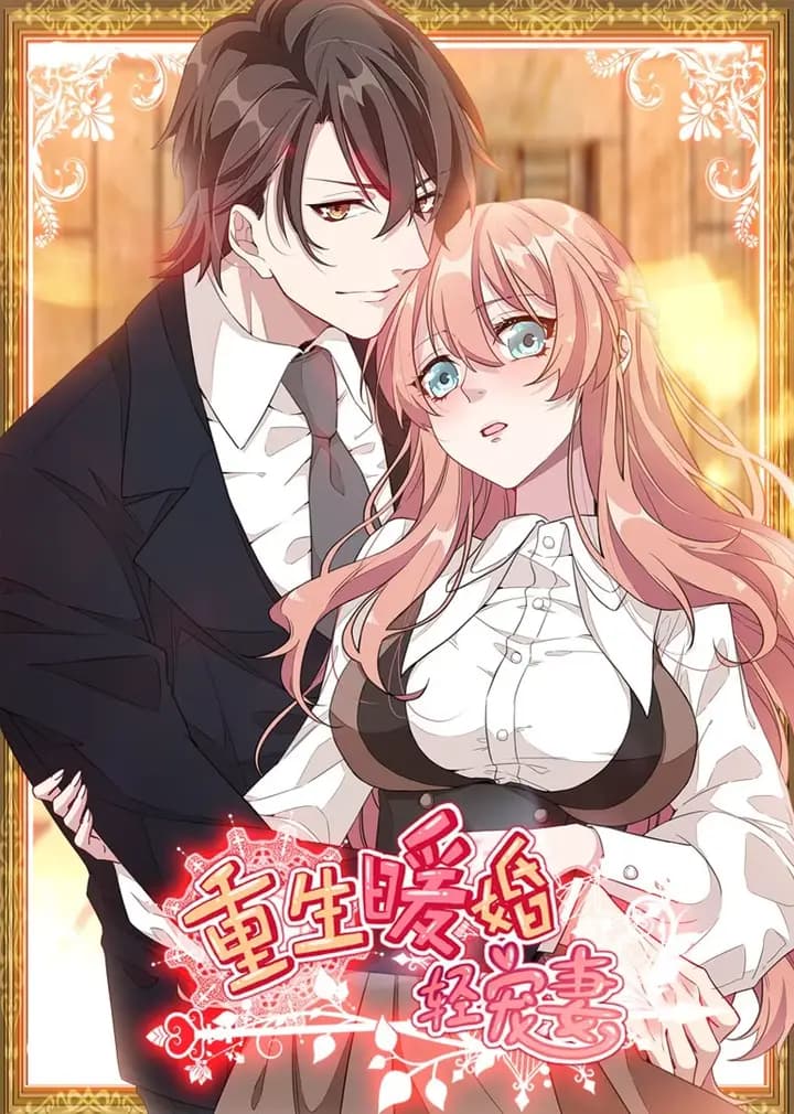 重生暖婚轻宠妻海报