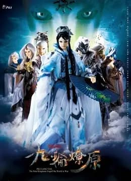 霹雳狼烟之九轮燎原海报
