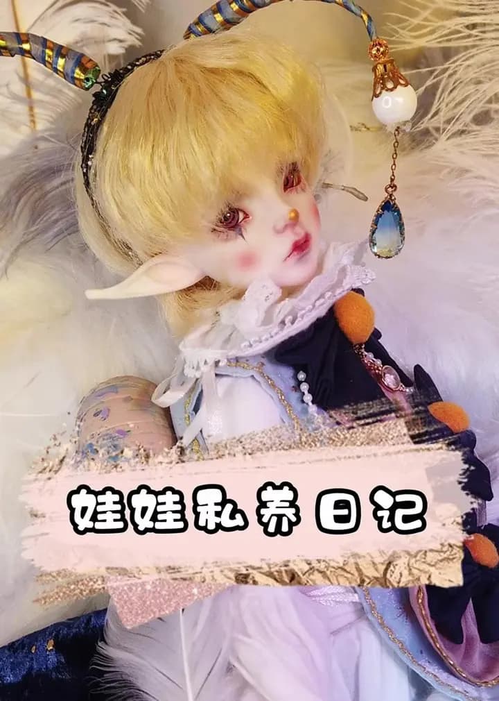 娃娃私养日记海报