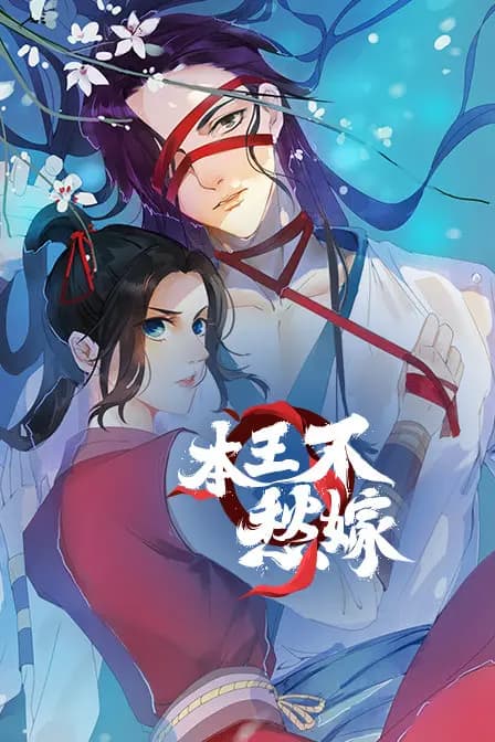本王不愁嫁海报