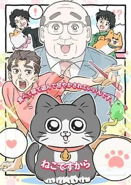 转生成猫的大叔海报