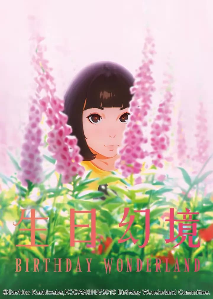 生日幻境海报